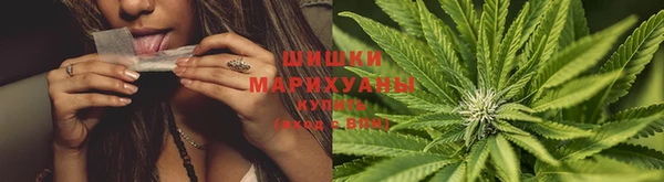 каннабис Аркадак