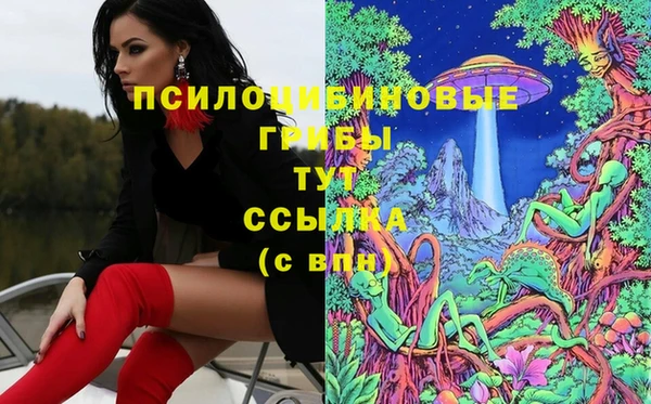 каннабис Аркадак