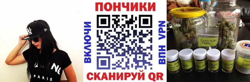 Каннабис планчик  Купить где  Шенкурск 